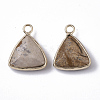 Natural Picture Jasper Pendants G-S359-029D-2