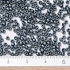 MIYUKI Round Rocailles Beads X-SEED-G007-RR0451-4