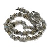 Natural Labradorite Beads Strands X-G-I225-15A-4