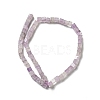 Natural Amethyst Beads Strands G-I327-A03-3