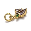 Brass Micro Pave Cubic Zirconia Charms ZIRC-H119-05G-3