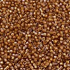 MIYUKI Delica Beads SEED-JP0008-DB1734-3