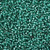 12/0 Grade A Round Glass Seed Beads SEED-Q007-F50-2
