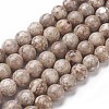 Natural Fossil Coral Beads Strands G-F563-02-10mm-1