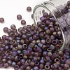 TOHO Round Seed Beads SEED-XTR08-0166BF-1