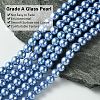 Eco-Friendly Dyed Glass Pearl Round Beads Strands HY-A008-6mm-RB015-2