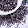MIYUKI Delica Beads X-SEED-J020-DB1205-1