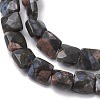 Natural Llanite Beads Strands G-K359-B20-01-4