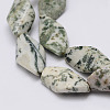 Natural Tree Agate Beads Strands G-E337-06-3