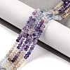 Natural Fluorite Beads Strands G-F770-D08-03-1