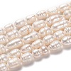 Natural Cultured Freshwater Pearl Beads Strands PEAR-L033-80-01-1