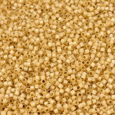 MIYUKI Delica Beads SEED-X0054-DB2186-1