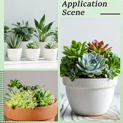 PVC Artificial Succulent Plant AJEW-SP0004-35C-1