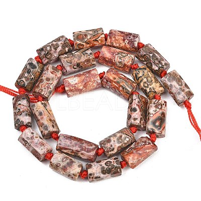 Natural Red Leopard Skin Jasper Beads Strands G-A314-A05-01-1