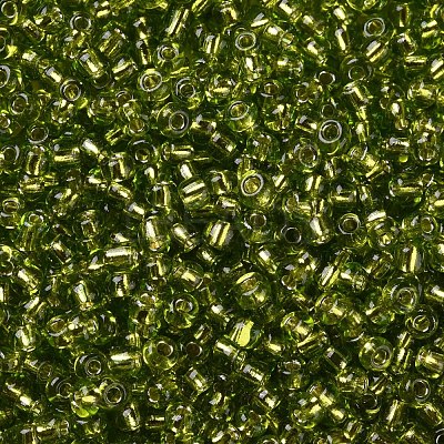 8/0 Glass Seed Beads SEED-A005-3mm-24-1