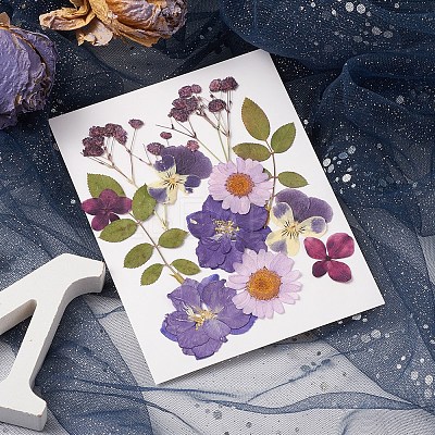 Pressed Dried Flowers DIY-YWC0001-102-1