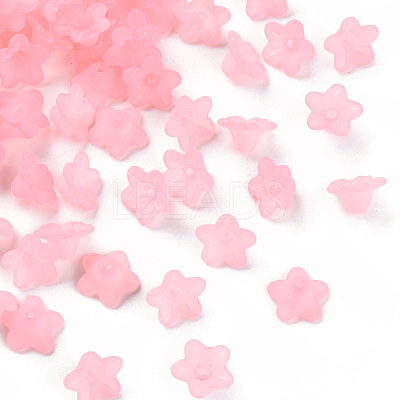 Transparent Acrylic Beads X-PL554-02-1