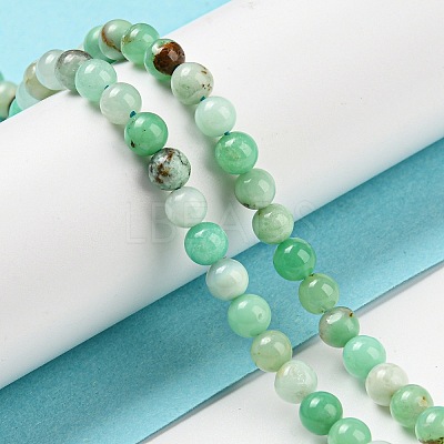 Natural Chrysoprase Beads Strands G-P503-6MM-03-1