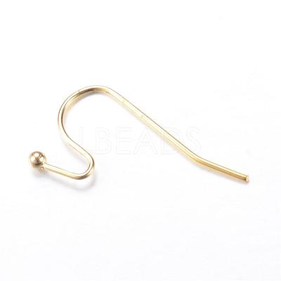 Iron Earring Hooks IFIN-T001-05G-NF-1