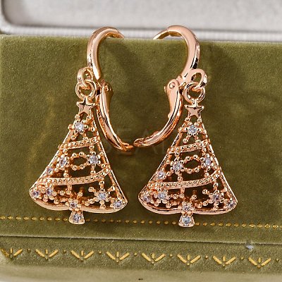 Brass Micro Pave Clear Cubic Zirconia Leverback Earrings EJEW-K300-28G-1