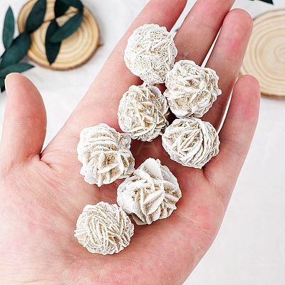 Natural Desert Rose Stone Display Decorations LS-DJEW-PW0009-006B-006-1