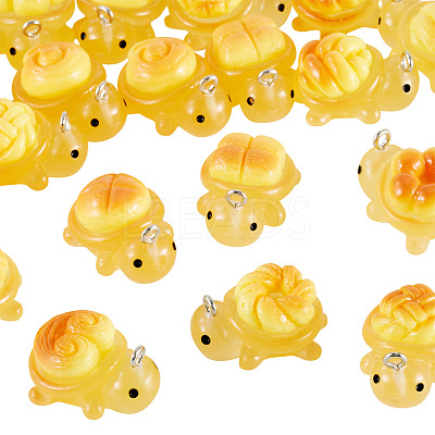 20Pcs 10 Styles Transparent Resin Bread-shaped Turtle Pendants RESI-TA0005-24-1