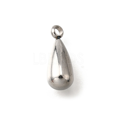 304 Stainless Steel Charms STAS-C122-07P-1
