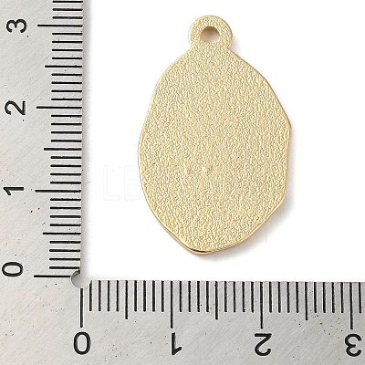 Zinc Alloy Enamel Pendants ENAM-Z013-01C-01-1