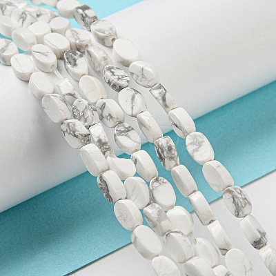 Natural Howlite Beads Strands G-M420-H14-03-1