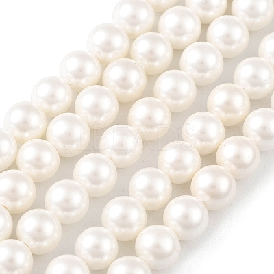 Shell Pearl Bead Strands X-BSHE-L026-03-6mm-1