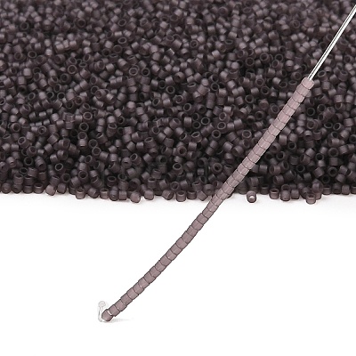 MIYUKI Delica Beads X-SEED-J020-DB2405-1