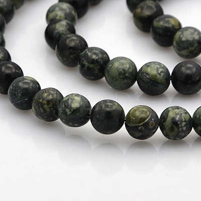 Natural Kambaba Jasper Beads Strands G-N0120-09-6mm-1