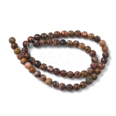 Natural Leopard Skin Jasper Beads Strands G-J358-05-6mm-1
