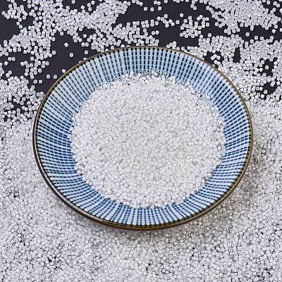 MIYUKI Delica Beads SEED-X0054-DB0066-1