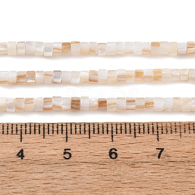 Natural Freshwater Shell Beads Strands X-SHEL-K006-72A-1