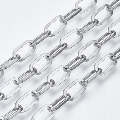 Tarnish Resistant 304 Stainless Steel Paperclip Chains CHS-S001-04B-P-1