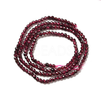 Natural Garnet Beads Strands G-I341-09A-1