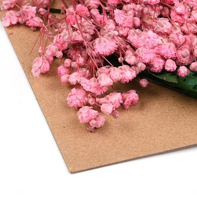 Dried Flower DIY-B018-10-1