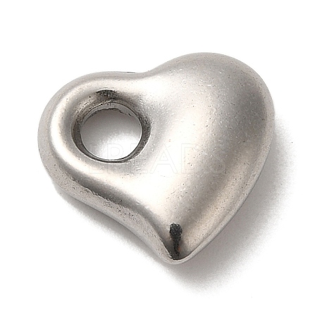 304 Stainless Steel Charms STAS-R223-01A-1