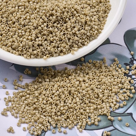 MIYUKI Delica Beads X-SEED-J020-DB2364-1