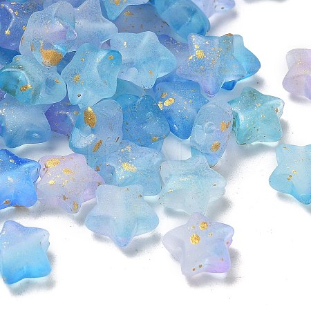 Frosted Acrylic Charms OACR-M023-04F-1