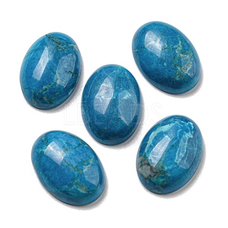 Natural Howlite Cabochons G-C115-01A-27-1