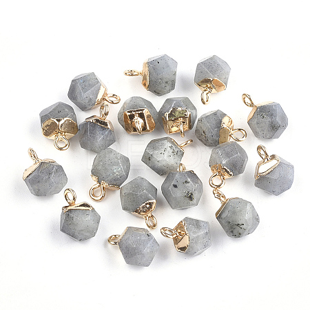 Electroplate Natural Labradorite Star Cut Round Charms G-S344-08E-1