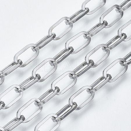 Tarnish Resistant 304 Stainless Steel Paperclip Chains CHS-S001-04B-P-1