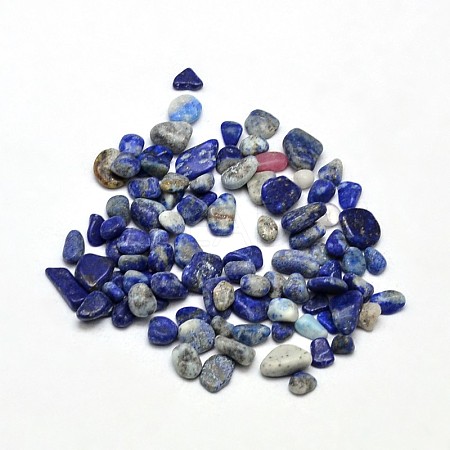 Natural Lapis Lazuli Chip Beads G-O103-21-1