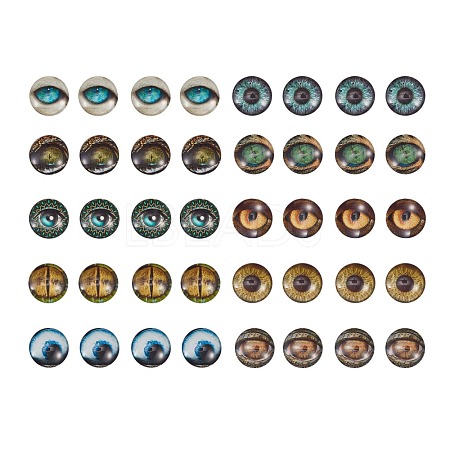 Glass Cabochons GLAA-SZ0001-02-1