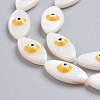 Natural Shell Beads Strands SSHEL-I024-04B-3