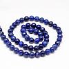 Natural Lapis Lazuli Round Beads Strands X-G-I181-10-8mm-2