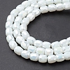 Electroplate Glass Beads Strands EGLA-K015-08I-4
