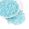 Baking Paint Transparent Glass Beads DGLA-T004-07E-3